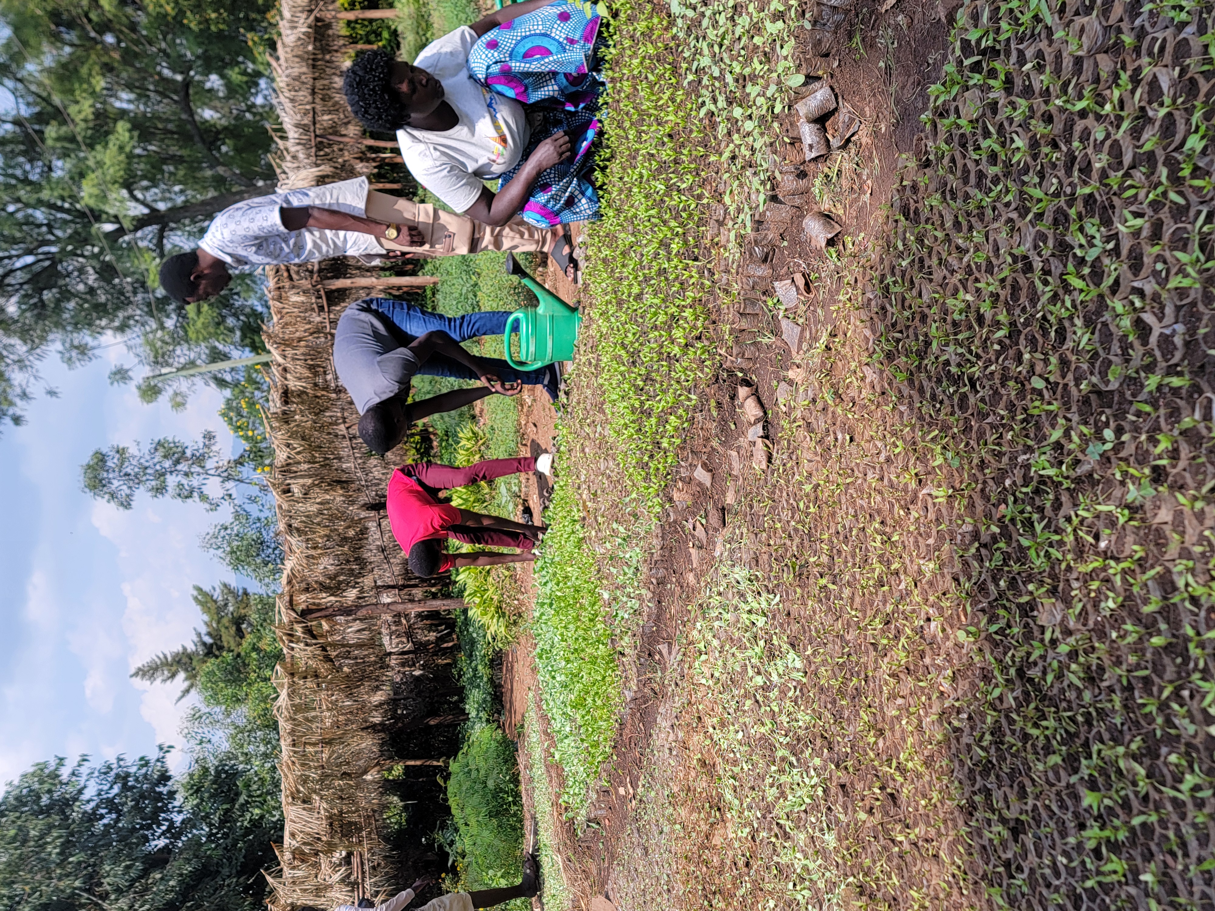 Field coordinator at work